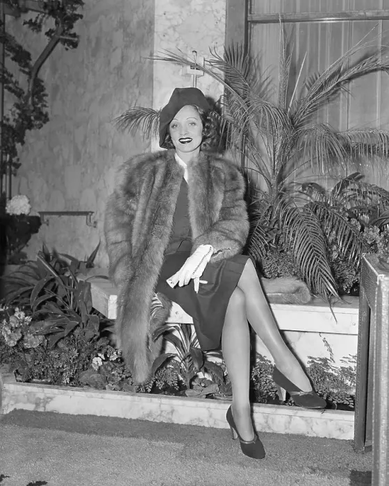 Framed Print : Marlene Dietrich in Fur Coat Framed Print : Marlene Dietrich in Fur Coat