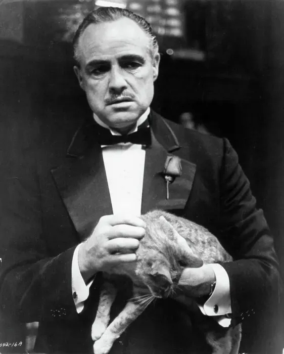 Framed Print : Marlon Brando In The Godfather Framed Print : Marlon Brando In The Godfather