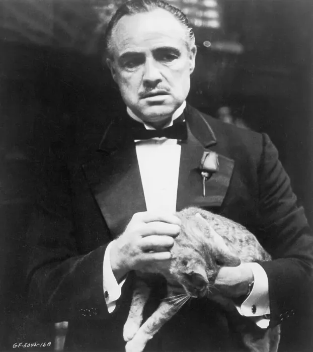 Framed Print : Marlon Brando in The Godfather Framed Print : Marlon Brando in The Godfather
