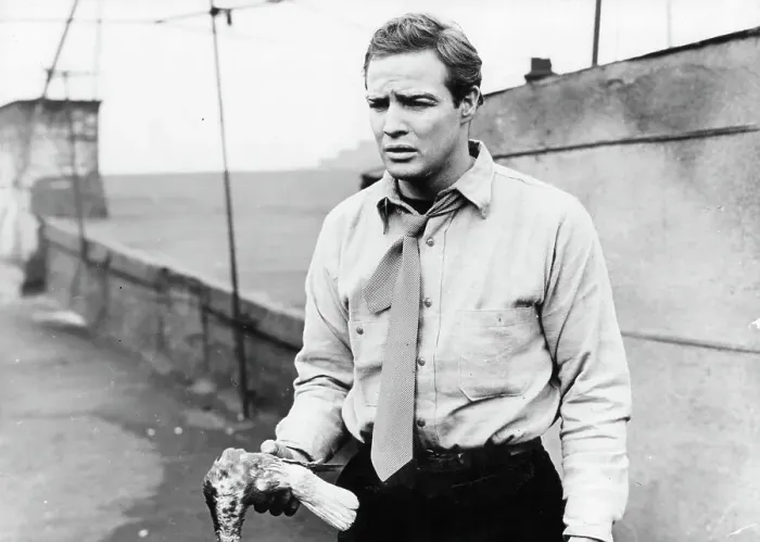 Framed Print : Marlon Brando In On The Waterfront Framed Print : Marlon Brando In On The Waterfront