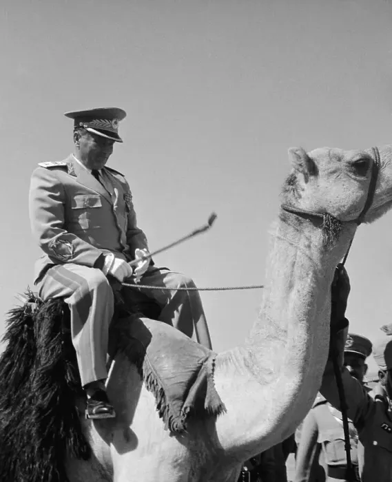 Framed Print : Marshal Tito Riding a Camel Framed Print : Marshal Tito Riding a Camel