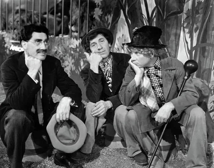Framed Print : The Marx Brothers Framed Print : The Marx Brothers