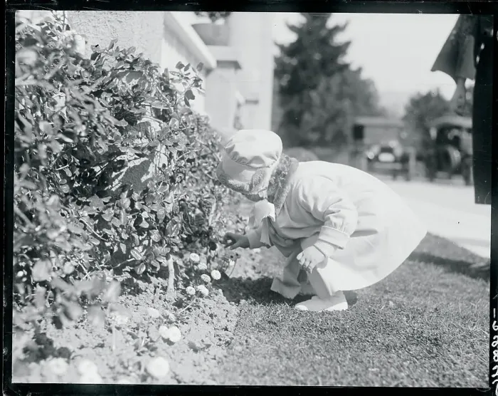 Framed Print : Mary Faith McAdoo Picking Flowers Framed Print : Mary Faith McAdoo Picking Flowers