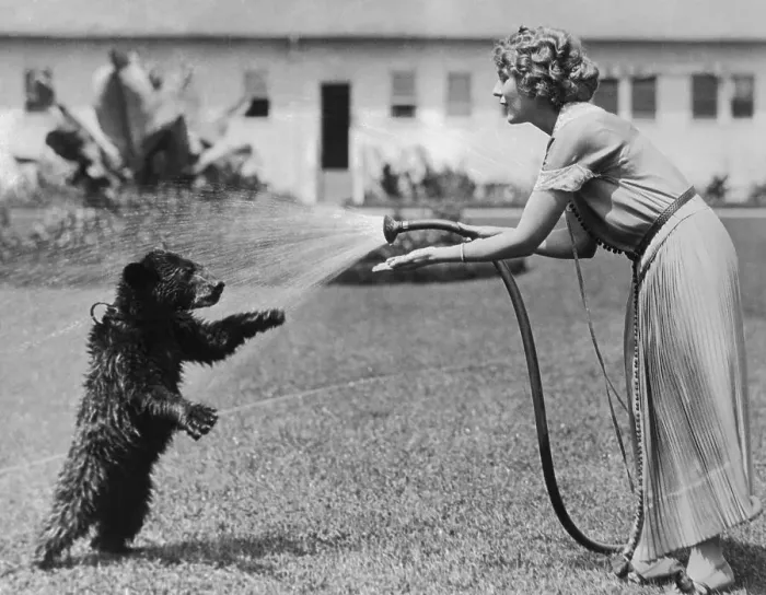 Framed Print : Mary Pickford and Bear on Lawn Framed Print : Mary Pickford and Bear on Lawn
