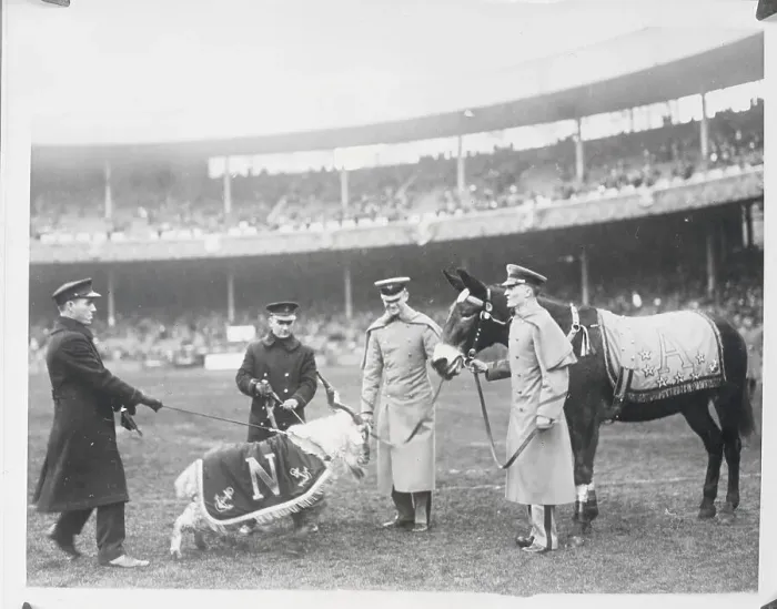 Framed Print : Mascots Being Shown on Field of Army Navy Game