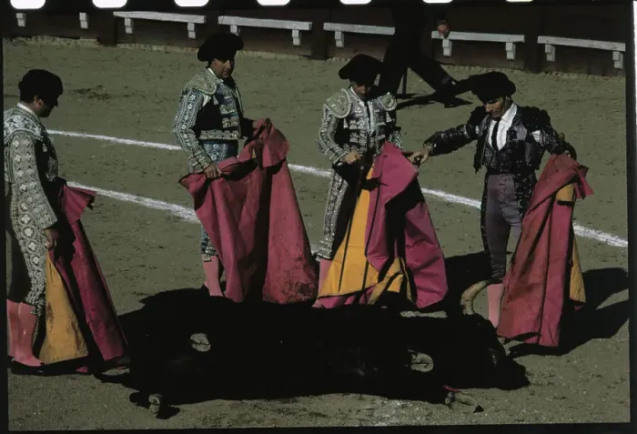 Framed Print : Matadors Looking at a Bull Framed Print : Matadors Looking at a Bull