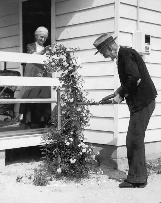Framed Print : Mature couple gardening (B&W)