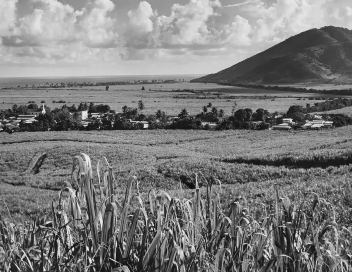 Framed Print : Maunabo. A view of the town of Maunabo, surrounded by fields of sugar cane