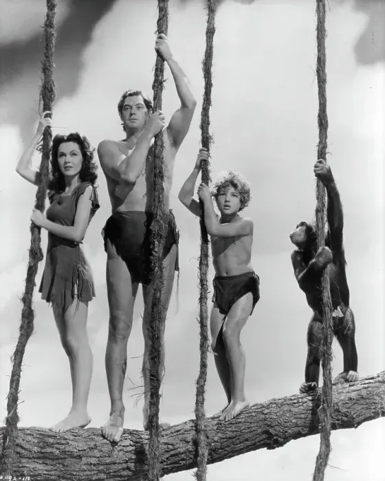 Framed Print : Maureen O'Sullivan And Johnny Weissmuller In Tarzan's Secret Treasure Framed Print : Maureen O'Sullivan And Johnny Weissmuller In Tarzan's Secret Treasure
