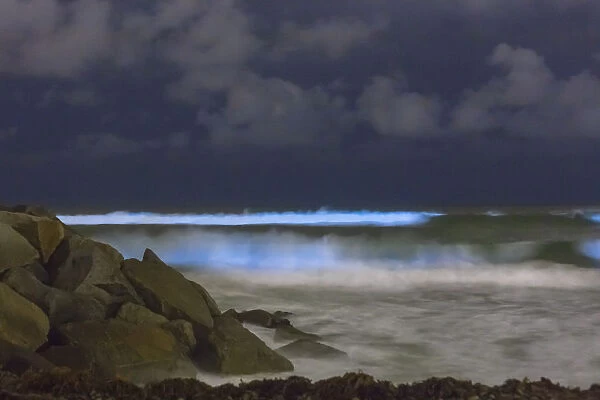 May 2018 Bioluminescent Red Tide in San Diego County