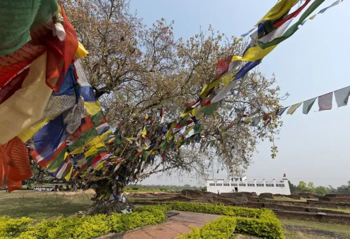 Framed Print : Maya Devi Temple, Lumbini, Nepal Framed Print : Maya Devi Temple, Lumbini, Nepal