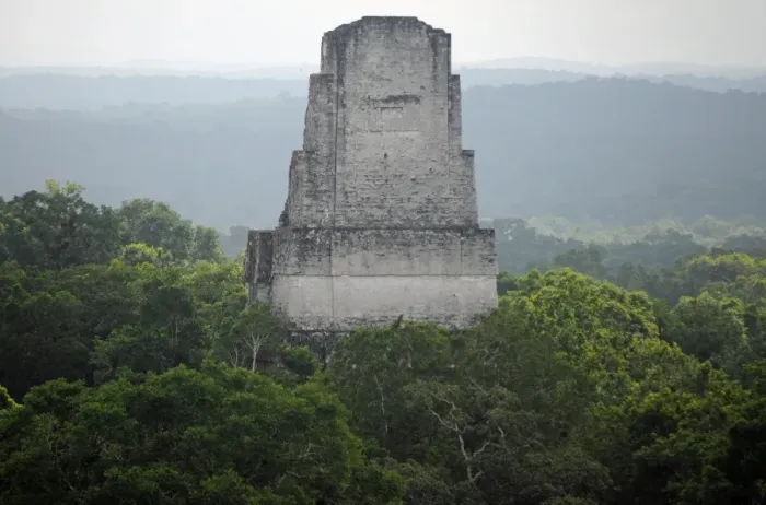 Framed Print : Mayan Pyramid Temple III and Forest, Tikal Framed Print : Mayan Pyramid Temple III and Forest, Tikal