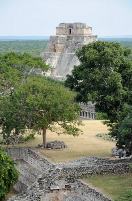 Framed Print : Mayan Step Pyramid, Temple Ruins, Forest Trees Framed Print : Mayan Step Pyramid, Temple Ruins, Forest Trees
