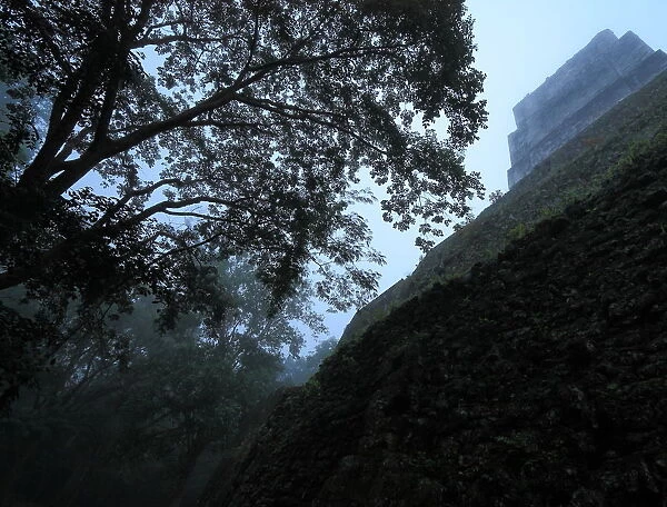 Mayan temple ruins in dawn mist, Tikal, Guatemala