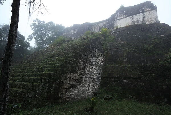 Mayan temple ruins in mist, Tikal, Guatemala