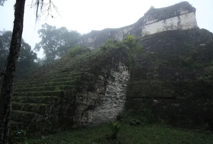 Framed Print : Mayan temple ruins in mist, Tikal, Guatemala Framed Print : Mayan temple ruins in mist, Tikal, Guatemala