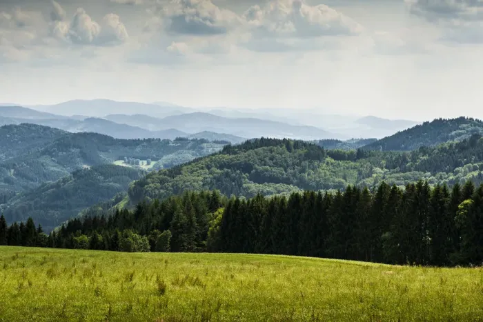 Framed Print : Meadow and wooded hills, at Freiamt, Black Forest, Baden-Wurttemberg, Germany Framed Print : Meadow and wooded hills, at Freiamt, Black Forest, Baden-Wurttemberg, Germany
