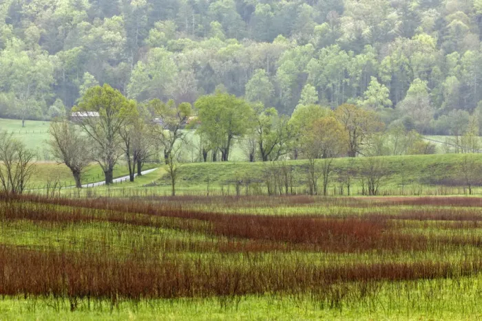 Framed Print : Meadows in Cades Cove, Great Smoky Mountains National Park, Tennessee, USA Framed Print : Meadows in Cades Cove, Great Smoky Mountains National Park, Tennessee, USA