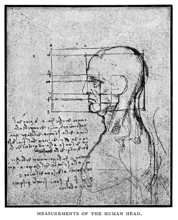 Framed Print : Measurements of the human head by Leonardo Da Vinci Framed Print : Measurements of the human head by Leonardo Da Vinci