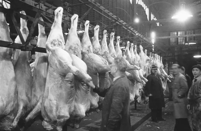 Framed Print : Meat Hanging Up Framed Print : Meat Hanging Up