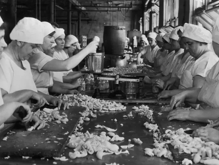 Framed Print : Meat Processing Framed Print : Meat Processing