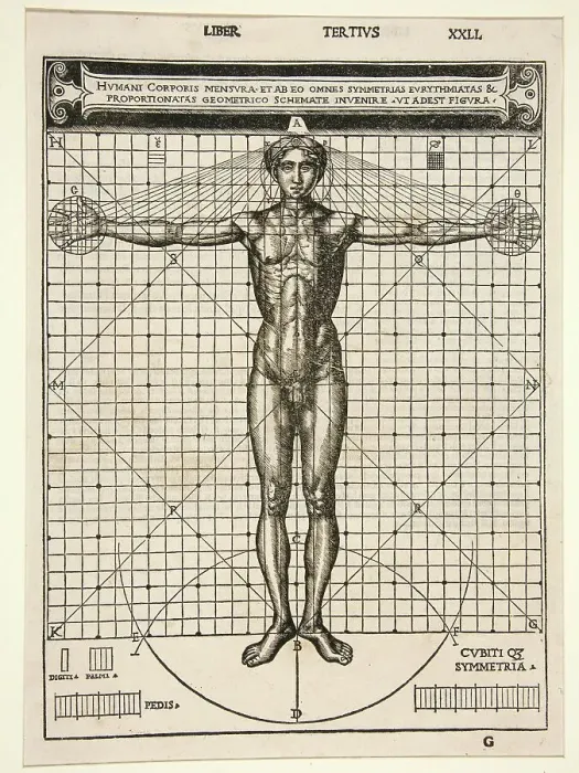 Framed Print : Medicine, Anatomy, the human body in its proportions, by Cesare Cesariano, Italy, un 1480, Historical, digitally restored reproduction from a 19th century original Framed Print : Medicine, Anatomy, the human body in its proportions, by Cesare Cesariano, Italy, un 1480, Historical, digitally restored reproduction from a 19th century original