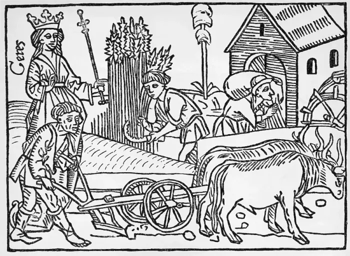 Framed Print : Medieval Agriculture Farm scene Framed Print : Medieval Agriculture Farm scene