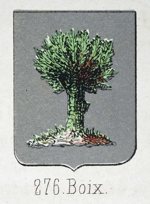Framed Print : Medieval heraldry, Coat of arms, Shield with, Green, tree, Silver, Spanish, Vintage illustration Framed Print : Medieval heraldry, Coat of arms, Shield with, Green, tree, Silver, Spanish, Vintage illustration
