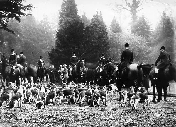 The Meet. 10th November 1905: The Atherstone hounds at Brownsover