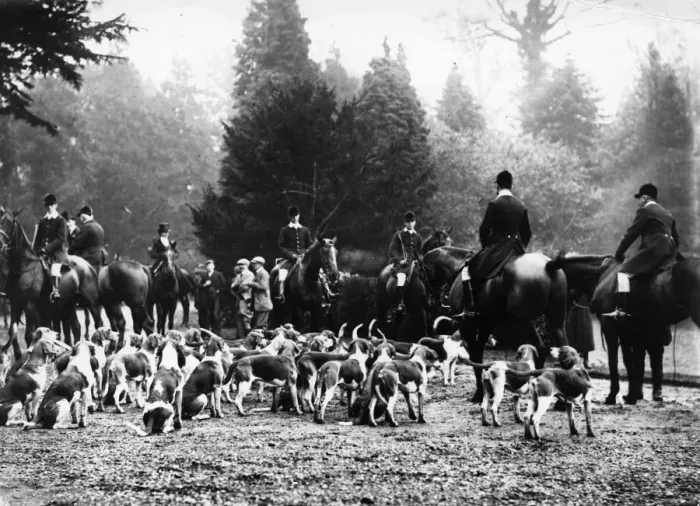 Framed Print : The Meet. 10th November 1905: The Atherstone hounds at Brownsover Framed Print : The Meet. 10th November 1905: The Atherstone hounds at Brownsover