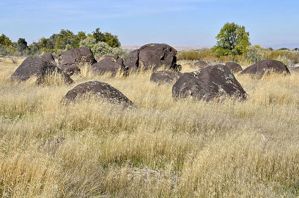 Melon Gravels, basalt boulders, Hagerman Wildlife Area, Hagerman, Idaho, USA