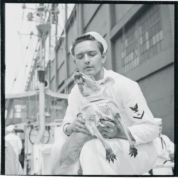 Framed Print : Member of Coast Guard Holding Kangaroo Framed Print : Member of Coast Guard Holding Kangaroo