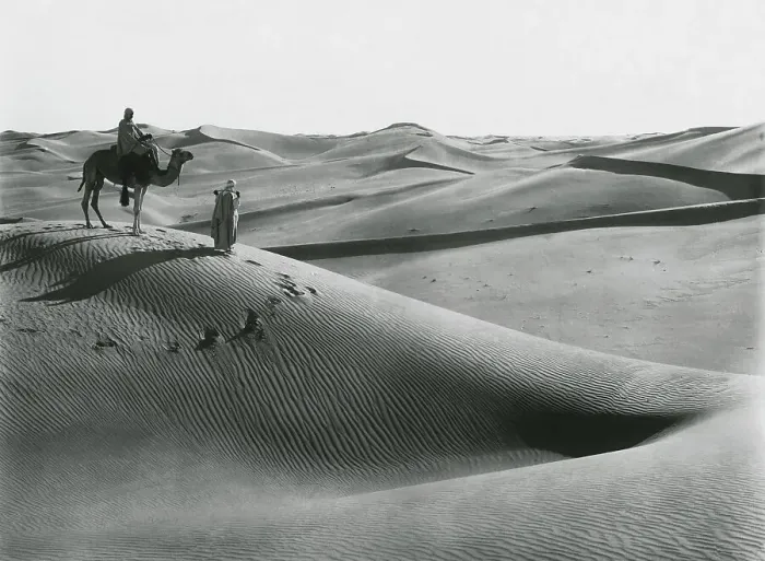 Framed Print : Men with Camel Traveling the Sahara Desert Framed Print : Men with Camel Traveling the Sahara Desert