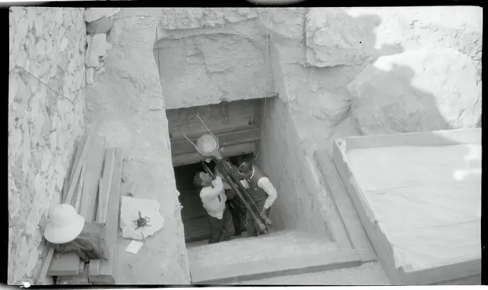 Framed Print : Men Carrying Sacred Cow from Tutankhamun's Tomb Framed Print : Men Carrying Sacred Cow from Tutankhamun's Tomb