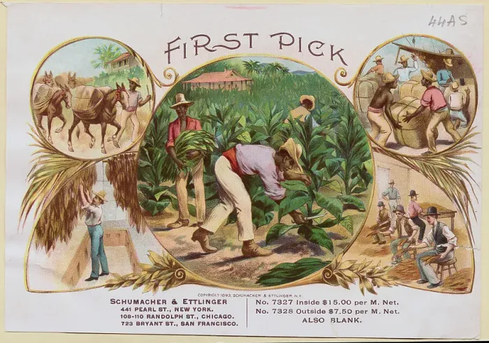 Framed Print : Men Collecting Products of Various Harvests Framed Print : Men Collecting Products of Various Harvests