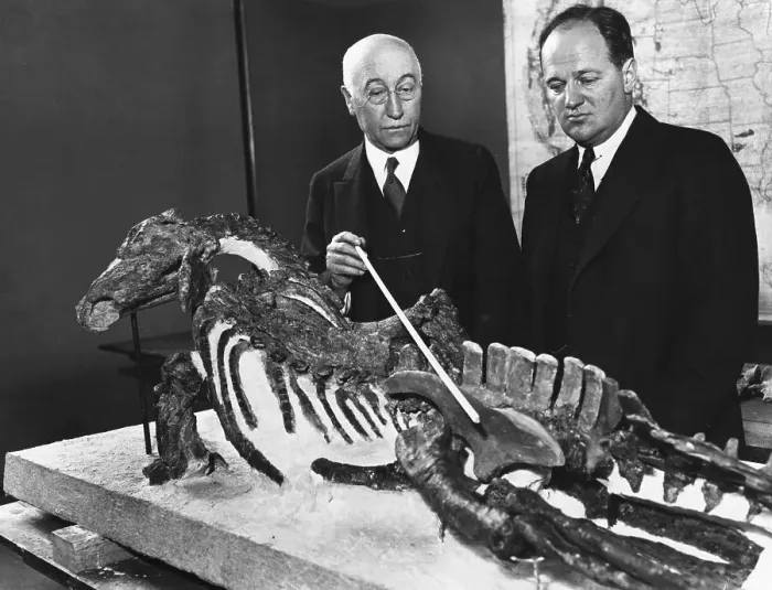 Framed Print : Two Men With Dinosaur Skeleton, One Point Framed Print : Two Men With Dinosaur Skeleton, One Point