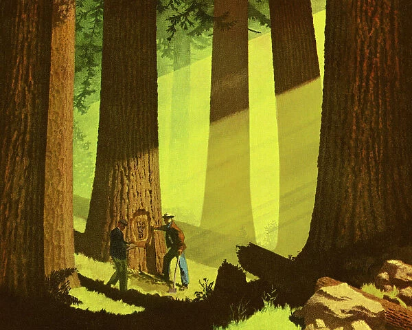 Two Men in a Forest