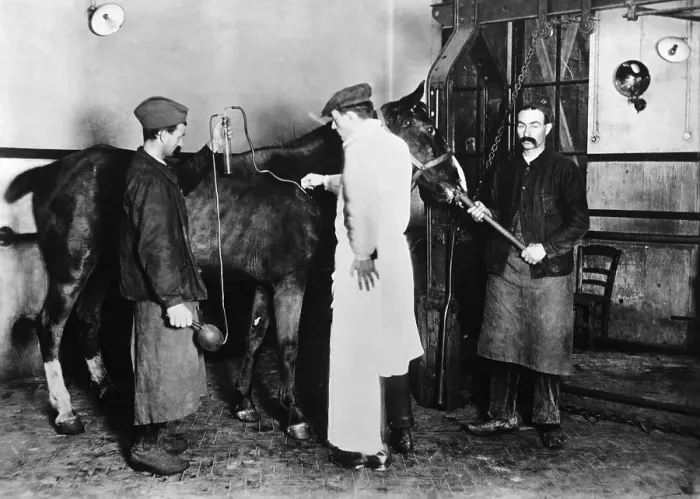 Framed Print : Men Inoculating Horse Framed Print : Men Inoculating Horse