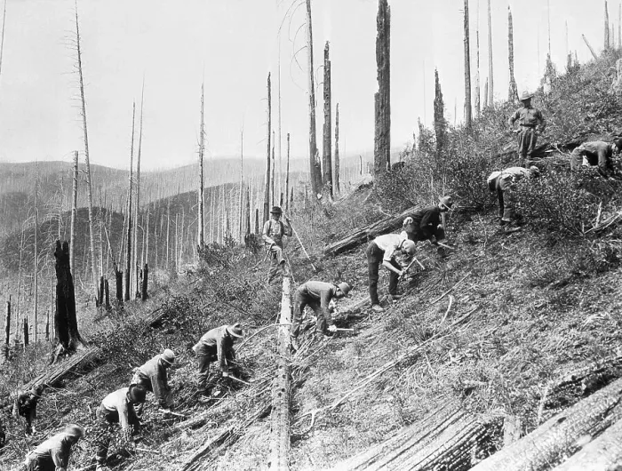 Framed Print : Men Planting Seedlings on Clear-Cut