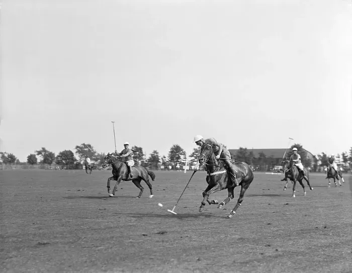 Framed Print : Men Playing Polo Framed Print : Men Playing Polo