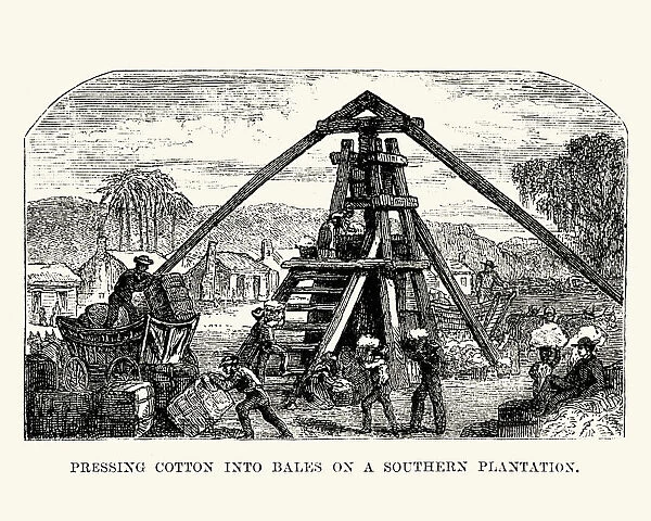 Men pressing cotton into bales on a southern plantation