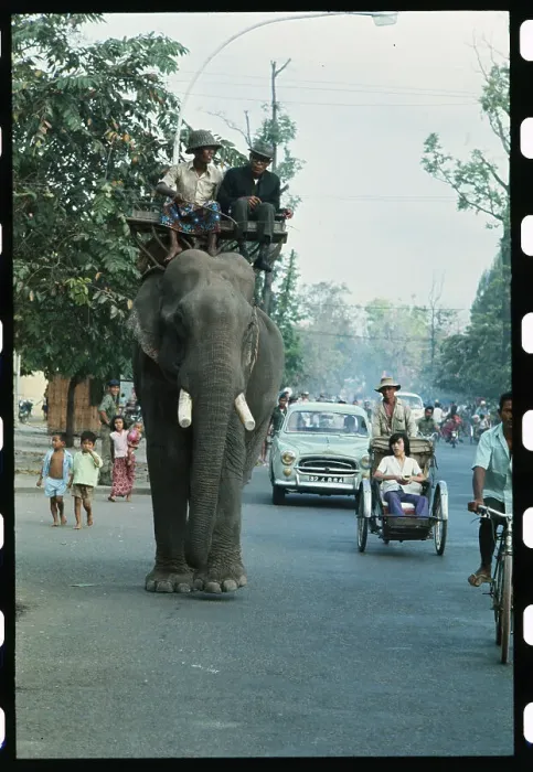 Framed Print : Men Riding an Elephant in Traffic Framed Print : Men Riding an Elephant in Traffic