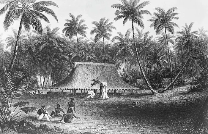 Framed Print : Men Seated Near Cluster Of Palm Trees Framed Print : Men Seated Near Cluster Of Palm Trees