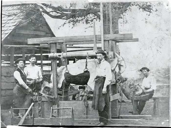 Framed Print : Men Shoeing a Mule Framed Print : Men Shoeing a Mule