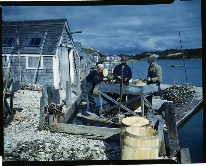 Framed Print : Men Shucking Oysters on Dock Framed Print : Men Shucking Oysters on Dock
