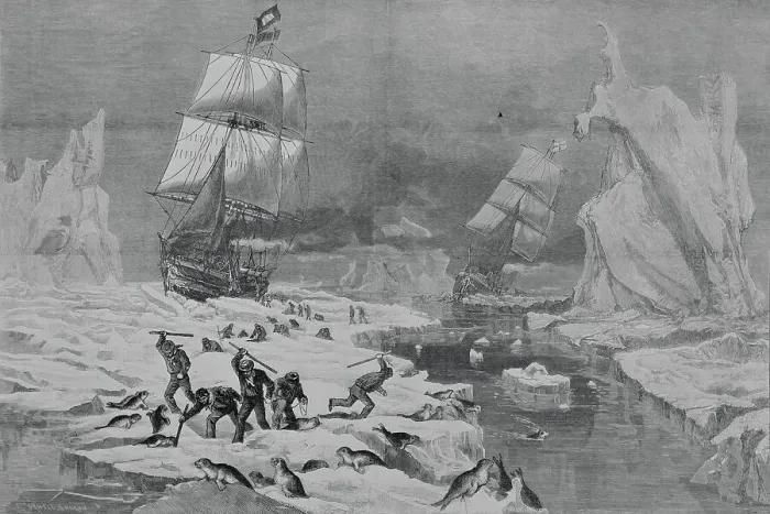 Framed Print : Men Slaughtering Seals Framed Print : Men Slaughtering Seals