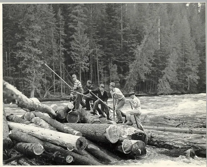 Framed Print : Men Stand On Pile Of Logs / Logging Framed Print : Men Stand On Pile Of Logs / Logging