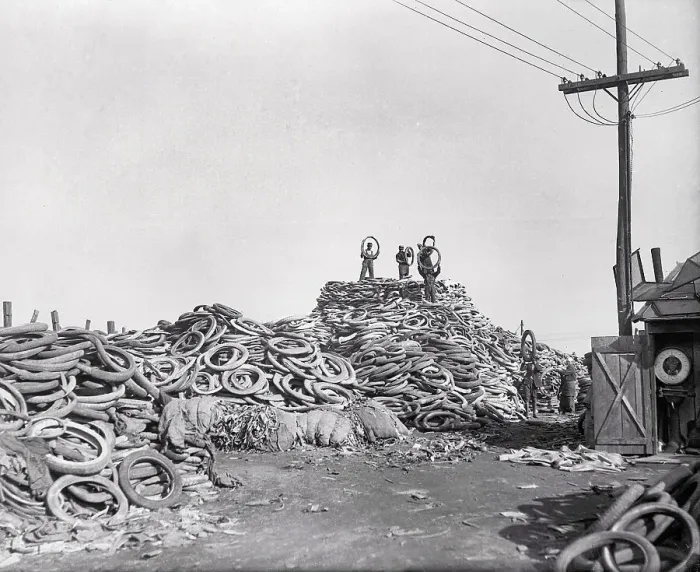 Framed Print : Men Standing on a Pile of Tires