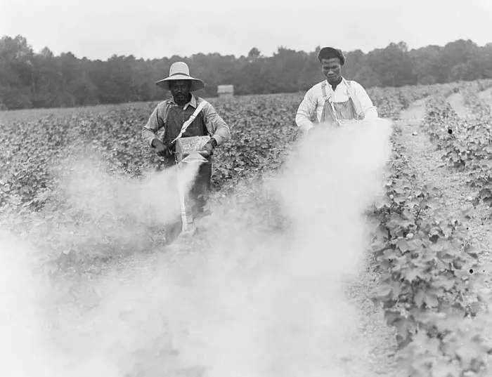 Framed Print : Men Using Field Pesticides