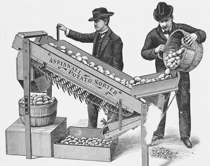 Framed Print : Two Men Using a Potato Sorting Machine Framed Print : Two Men Using a Potato Sorting Machine